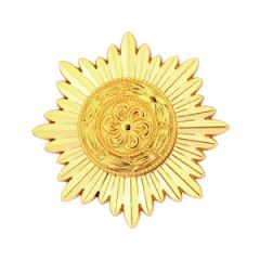 Ostvolk Medal 1st Class in Gold 