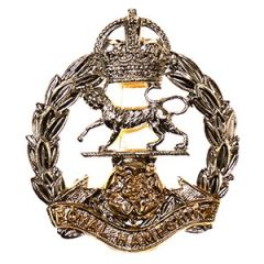 Royal Hampshire Regiment Cap Badge - King's Crown