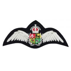 South African Air Force Pilot Wings