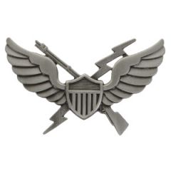 US 11th Air Assault Badge - Antique