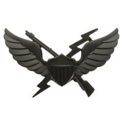 US 11th Air Assault Badge  - Black
